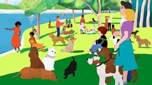 I Want a Dog — foto 1