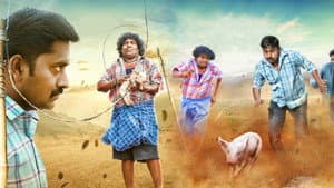 பன்னி குட்டி — foto 5