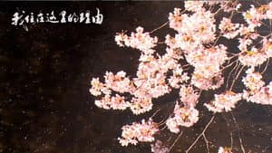 私はここに住む理由 — foto 1
