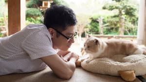 ねこあつめの家 — foto 5