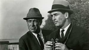 The Doctor and the Playgirl — foto 2