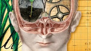 The Divided Brain — foto 1
