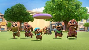 Pretzel y sus cachorros — foto 3