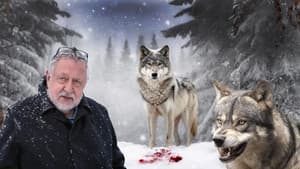 Leif GW och vargen — foto 2