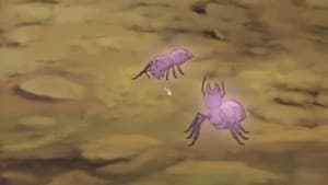 Episodio 5