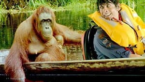 Orangutanes