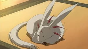 Episodio 19