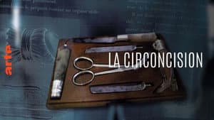 La circoncision - Une ablation qui pose question — foto 1