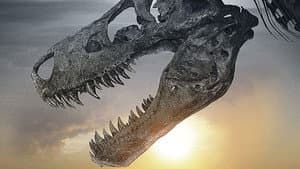 Dinosaur 13 — foto 2
