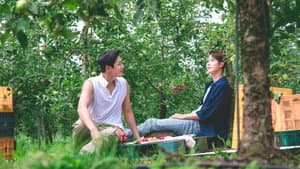 트랙터는 사랑을 싣고 — foto 3