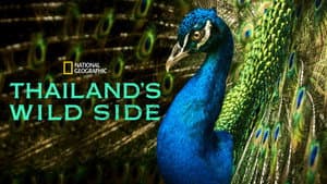 Thailand's Wild Side — foto 5