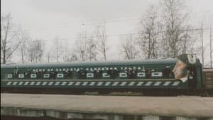 Бакенбарды — foto 12
