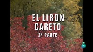Episodio 29