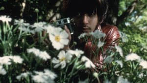ゆれる — foto 3