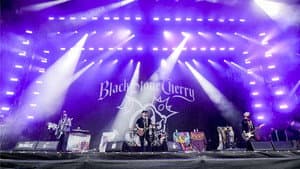 Black Stone Cherry - Wacken Open Air 2019 — foto 1