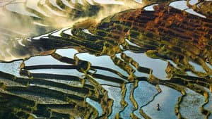 H2O: The Molecule that Made Us — foto 3