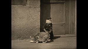 Wonder Dogs! Canine Stars of the Silent Era (1898-1928) — foto 4