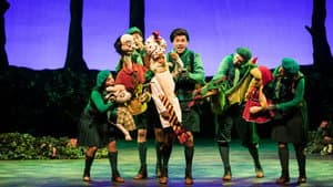Sprookjesboom de Musical — foto 10