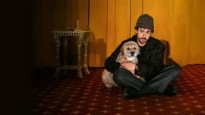 Ramy Youssef: In Love — foto 2