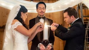 Signed, Sealed, Delivered: To the Altar — foto 2