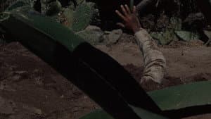 Bring Me the Head of Alfredo Garcia — foto 9