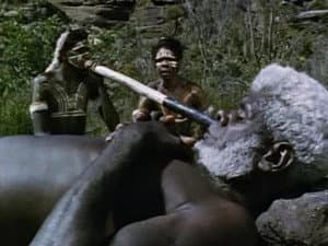 Episodio 24
