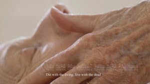 Skin — foto 1