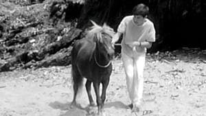 Episodio 10