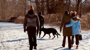 Not My Dog — foto 1