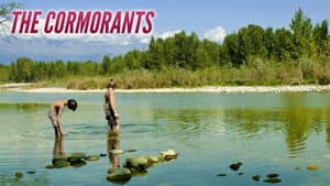 I cormorani — foto 11