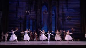 Tchaikovsky - Swan Lake (The Bolshoi Ballet Collection) — foto 10