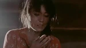 慰安妇七十四分队 — foto 1