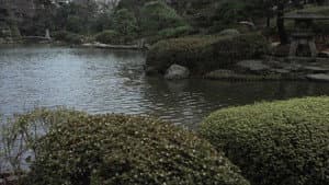 みんなあげちゃう — foto 5