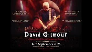David Gilmour: Live at the Circus Maximus — foto 3