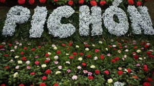 Un jardín para Pichón — foto 1