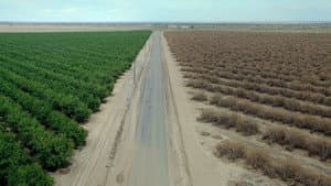 Water & Power: A California Heist — foto 1