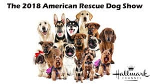 The 2018 American Rescue Dog Show — foto 3