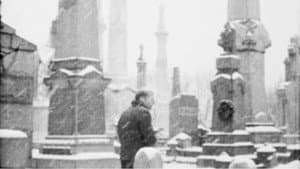 Image in the Snow — foto 1