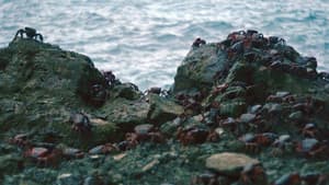 Island of the Hungry Ghosts — foto 4