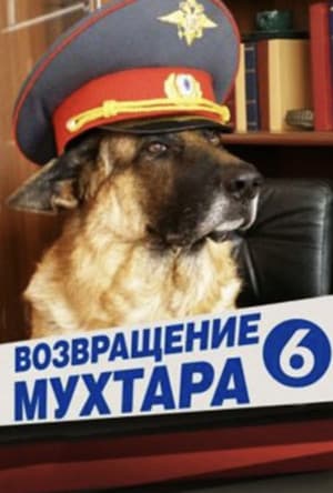 Temporada 6