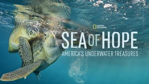 Sea of Hope: America's Underwater Treasures — foto 2