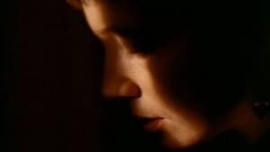The Wife — foto 6