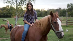 Horse Camp — foto 1