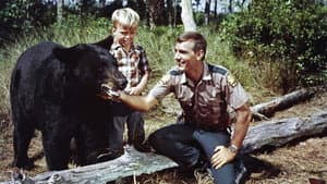Gentle Ben — foto 3