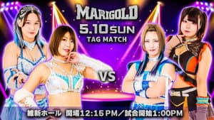 Marigold Shining Attack 2026 ~ Day 6 — foto 4