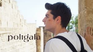 Poligala — foto 4