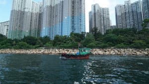 岸上漁歌 — foto 3