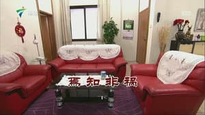 Episodio 3404