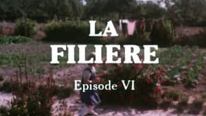 Episodio 6