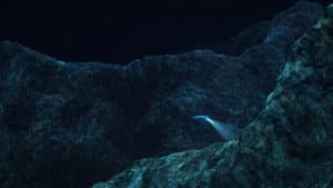 Deep Ocean: Descent into the Mariana Trench — foto 1
